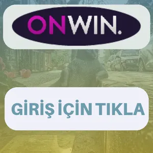 Onwin giriş